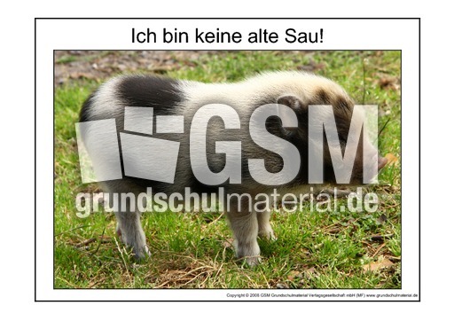 Alte-Sau-2.pdf